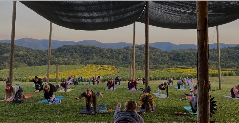 Sunset Yoga